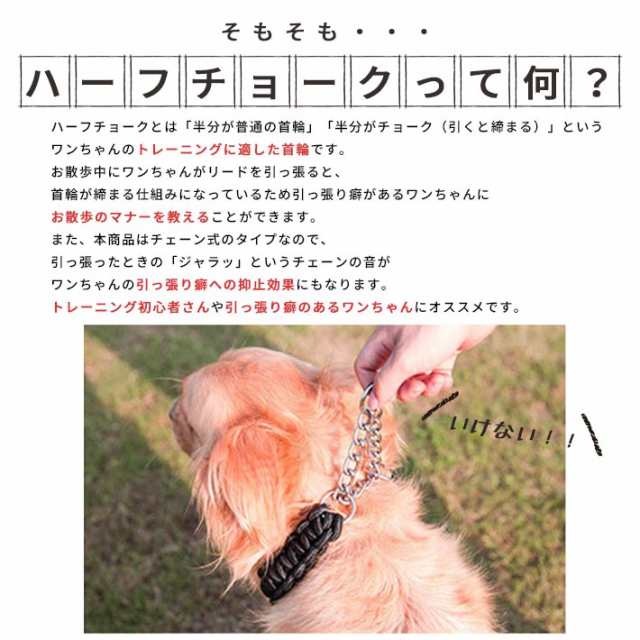 ハーフチョーク ＋ リードセット 大型犬 首輪【全4色】Lサイズ 丈夫な編み紐・チェーンタイプ