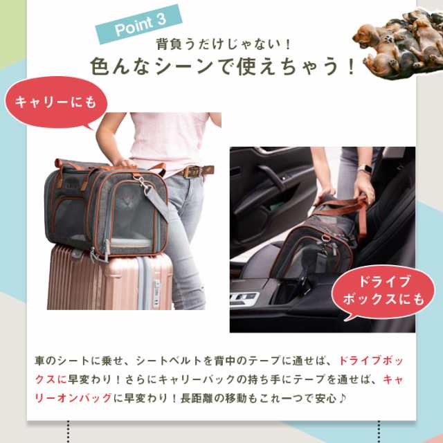 ペット キャリーバッグ 犬 猫 ボストン【ZooBag 全2色】4WAY