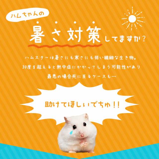 ハムちゃんのこすぷれハウス 3点セット - 小動物用品