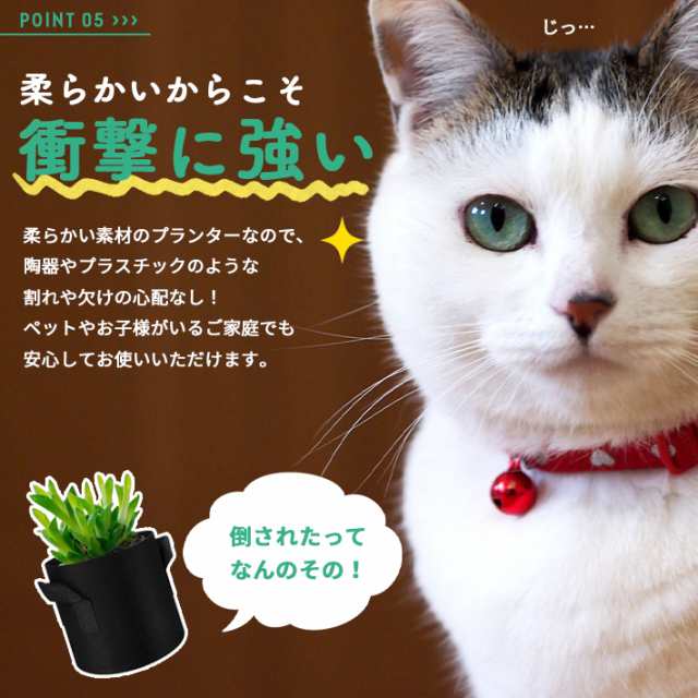 猫 植木鉢 鉢植え ペット 小物入れ プランター ガーデニング おしゃれ