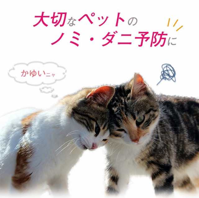 ペット用 ノミ取り ダニ取り首輪 猫用 小型犬用 大型犬用 全3タイプ ペットが嫌がらない ほのかなオレンジの香りの通販はau Pay マーケット ガジェットグルメ