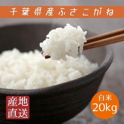 令和7年産 米 お米 ふさこがね 白米 20kg 5kg×4袋 本州四国 送料無料