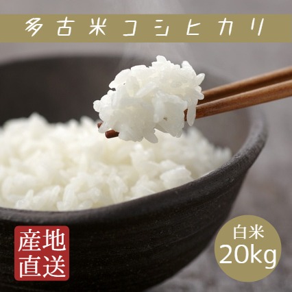 令和7年産 千葉県産 多古米 コシヒカリ 白米 20kg 5kg×4袋 本州四国 送料無料 米 お米