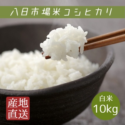 令和6年産 米 お米 八日市場米 コシヒカリ 白米 10kg 5kg×2袋 本州四国 送料無料 7,338円