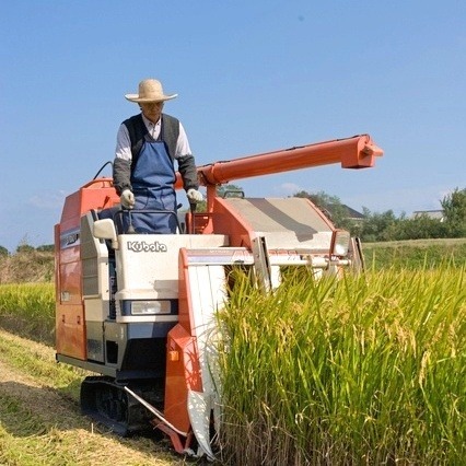 令和7年産 米 お米 ふさこがね 白米 20kg 5kg×4袋 本州四国 送料無料_5