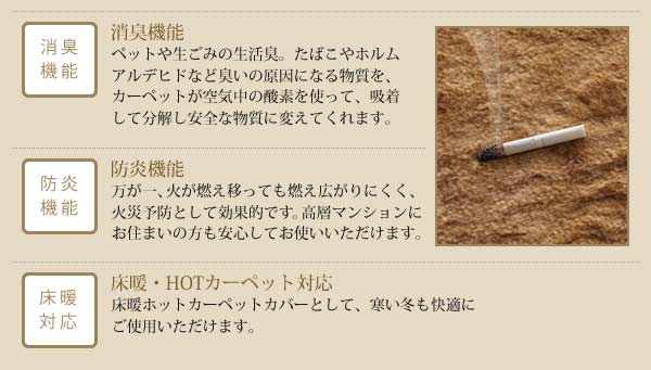 防ダニ 消臭 防炎 抗アレルギー機能付きフェイクファーラグ Rojye ロジェ 200×200cmの通販は