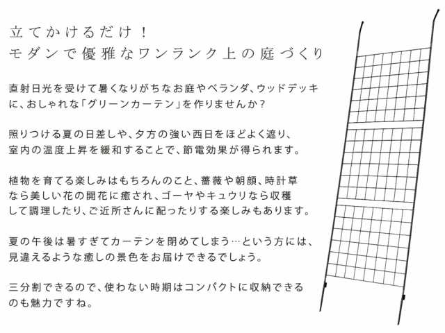 アイアン製グリーンカーテン グラフ 送料無料 フェンス アイアン