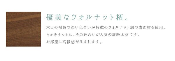 クイーンベッド 棚付き コンセント付 収納ベッド Montray モントレー