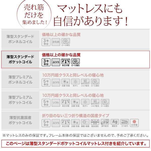 組立設置付 長く使える 国産 頑丈 大容量 跳ね上げ式ベッド 収納ベッド BERG ベルグ 薄型スタンダードポケットコイルマットレス付き 縦開