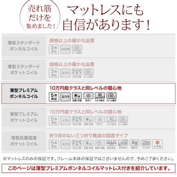 お客様組立 長く使える 国産 頑丈 大容量 跳ね上げ式ベッド 収納ベッド BERG ベルグ 薄型プレミアムボンネルコイルマットレス付き 縦開き