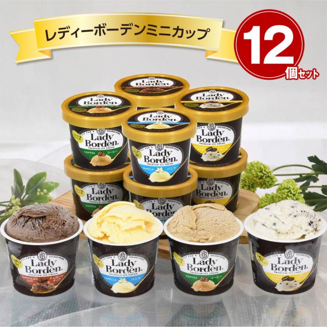 レディーボーデンミニカップ12個セット R895T スイーツ アイスクリーム 送料無料 【お届け不可地域：離島】 お取り寄せ 通販 お土産 お祝い プレゼント ギフト ホワイトデー おすすめの通販は 4,860円