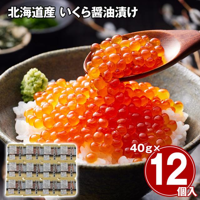 北海道産 いくら醤油漬け 480g イクラ 送料無料 【二重包装不可】【お届け不可地域：離島】 お取り寄せ 通販 お土産 お祝い プレゼント ギフトお中元 おすすめ