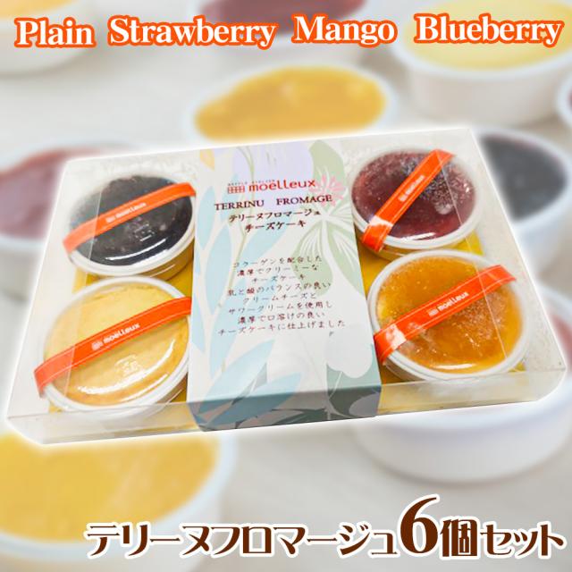 テリーヌフロマージュ6個セット スイーツ チーズケーキ 送料無料 【お届け不可地域：北海道・沖縄・離島】 お取り寄せ 通販 お土産 お祝い プレゼント ギフト おすすめの通販は 4,939円