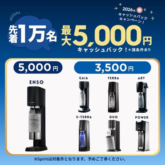 ソーダストリーム ART(アート)スターターキット ステンレスボトル付き 