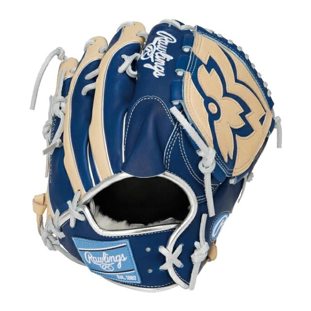Rawlings（ローリングス）軟式用グラブ HOH PRO EXCEL Wizard