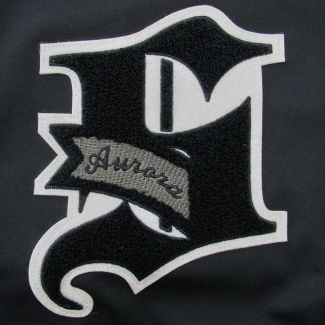 SSK（エスエスケイ）AURORA スタジャン（BWPE23107）野球 ベースボール