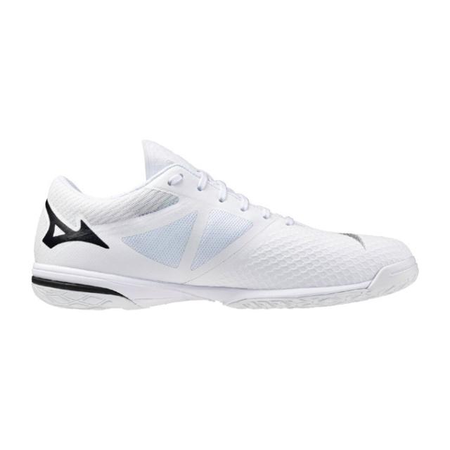 【25.0cmのみ】MIZUNO（ミズノ）WAVE DRIVE EL2 ウエーブドライブ EL2（81GA2501）スポーツ 卓球 卓球シューズ 2E相当 ユニセックス_1