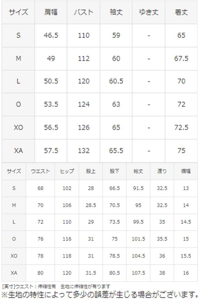 DESCENTE（デサント）S.F.TECH SHIELD 総柄グラフィック フードロゴフルジップフーディー パンツ 上下セット（DMMWJF23/DMMWJG23）メンズ