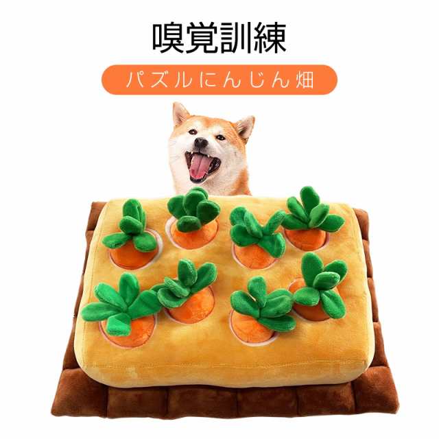 ノーズワーク ペット用 知育 おもちゃ にんじん畑 12本 嗅覚訓練 犬 ネコ - 2