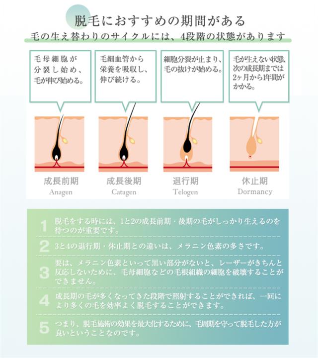 脱毛器 IPL光脱毛器 顔 髭 ワキ 腕 足 背中 ビキニライン対応 自宅 光エステ １年間保証付き 日本語取扱説明書 ギフト 【PL保険加入済み製品・安心】_15