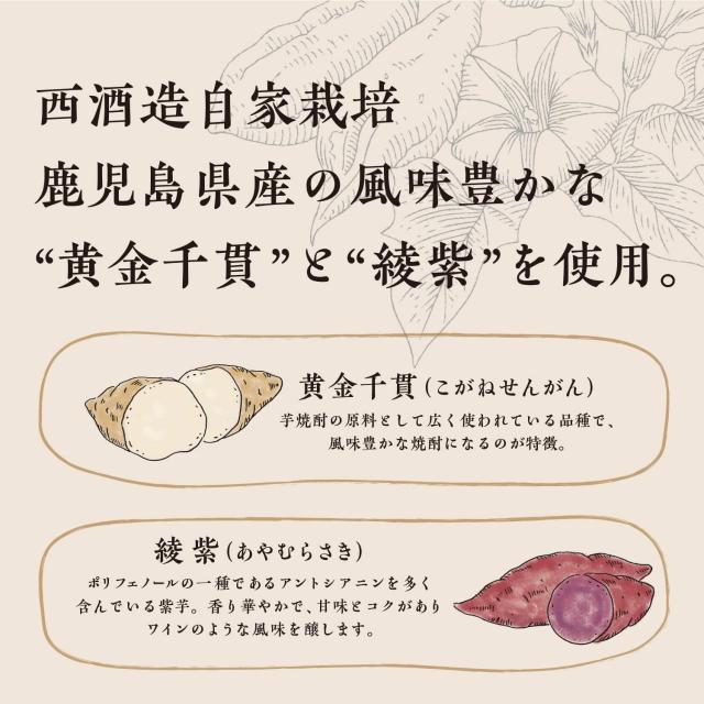 飲み比べ 宝山限定酒 鹿児島ハイボールまろやか＆さわやか 350ml 缶 24本 各1ケースずつ （合計48本）_3