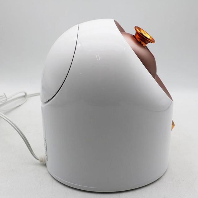 美品 アムウェイ アーティストリー フェイシャル スチーマー