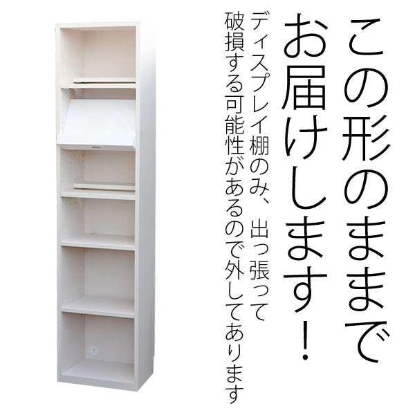 棚蜘蛛