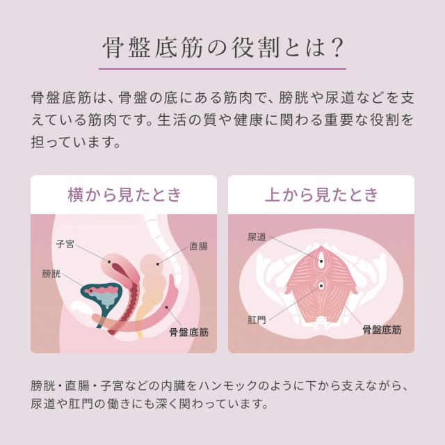 骨盤底筋をEMSで手軽に鍛える 】 シックスパッド ペリネフィット
