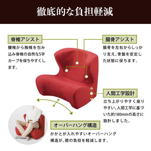 スタイルドクターチェア Style Dr.CHAIR 【メーカー公式店】 骨盤