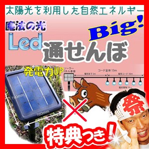 魔法の光LED通せんぼBIG ソーラー充電式 イノシシ撃退装置 青色LED光点滅 イノシシ防止 イノシシ退治 害獣対策 太陽光充電 いのしし対策  ｜au PAY マーケット