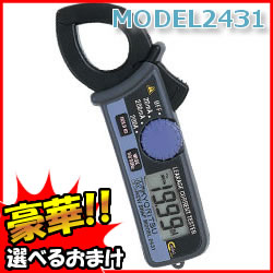共立電気計器 漏れ電流・負荷電流測定用クランプメータ MODEL2431 キュースナップ 豪華特典【送料無料+選ぶ景品+ポイ
