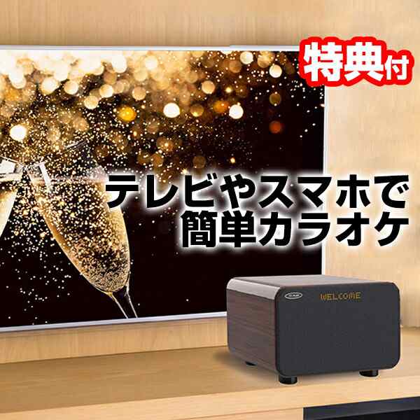 高評価国産 東京企画 TKMI-008 カラオケスピーカーサウンドプロ (Bluetooth搭載/アンプ内蔵/専用ワイヤレスマイク2本付)  XPRICE PayPayモール店 通販 PayPayモール