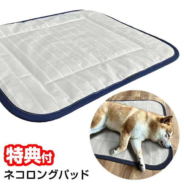 セルディアミール 彩り野菜の鶏スープごはん 10袋