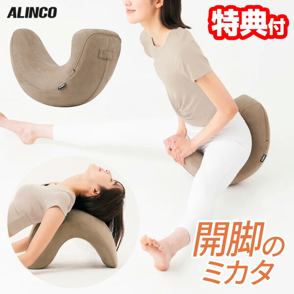 選ぶ景品付】 アルインコ 開脚チェア 開脚のミカタ EXP234 開脚椅子