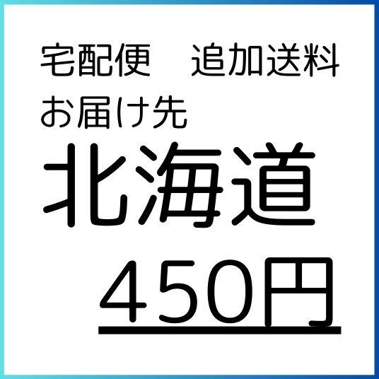お届け先が北海道の方専用】宅配便追加送料【ゲームだらけ】999999の