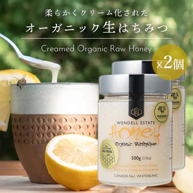 オーガニック生ハチミツ500g 2個 酵素や酵母が活きている クリーム状Raw 無濾過・非加熱・無殺菌 花粉・プロポリス・蜜蝋が含まれた蜂蜜