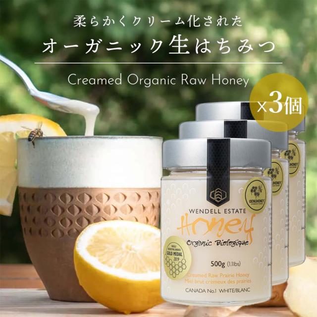 オーガニック生ハチミツ500g 3個 酵素や酵母が活きている クリーム状Raw 無濾過・非加熱・無殺菌 花粉・プロポリス・蜜蝋が含まれた蜂蜜