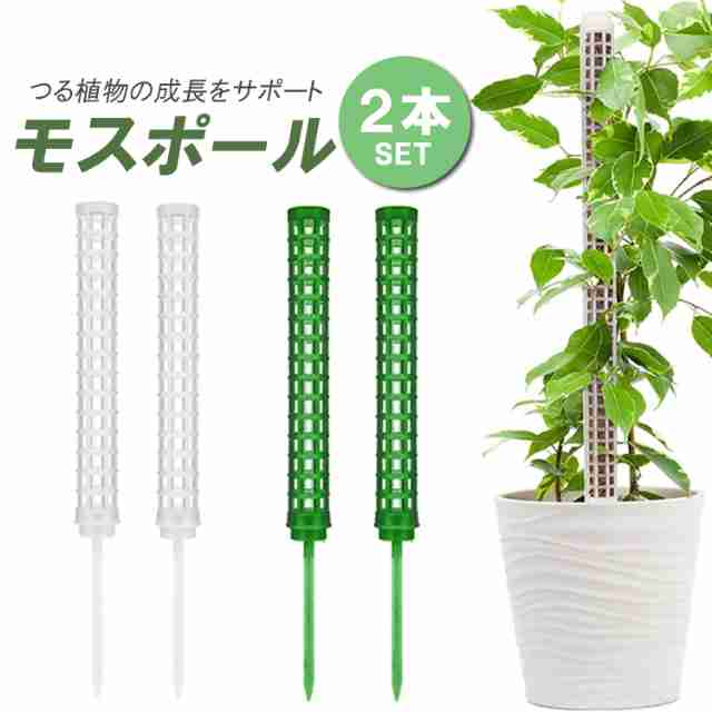 モスポール 支柱 2本セット 連結可能 観葉植物 モンステラ つる