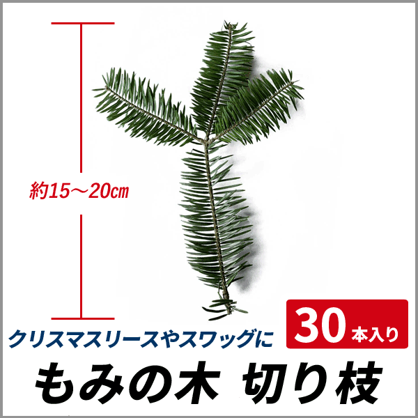 もみの木 切り枝 約15〜20cm 30本入り クリスマスリース スワッグの