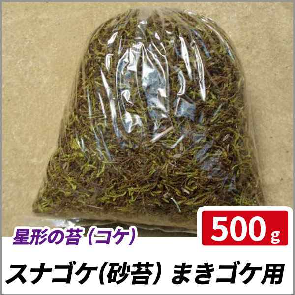 スナゴケ 砂苔 まきゴケ用 500g 苔 グランドカバー 苔庭 テラリウム 盆栽の通販はau Pay マーケット 相馬グリーン