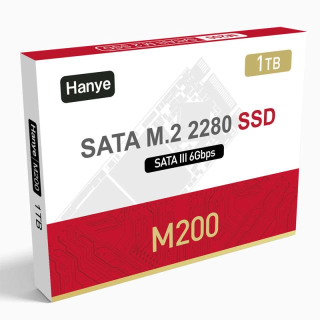 Hanye SSD 1TB 内蔵 SATA M.2 2280 SATA III 6.0Gb/s M200 正規代理店