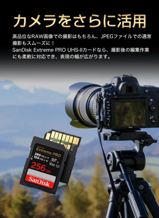 SDカード 256GB SanDisk Extreme PRO SDXCカード UHS-II サンディスク U3 V60 6K 4K R:280MB/s W:150MB/s  SDSDXEP-256G-GN4IN 海外パッケージ  ネコポス送料無料 ポイント消化_2