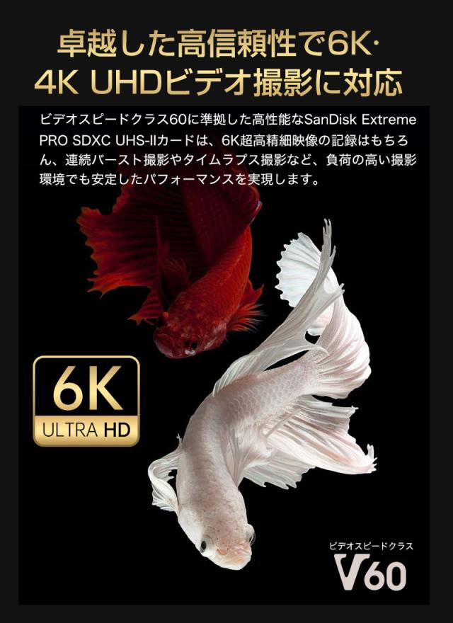 SDカード 1TB SanDisk Extreme PRO SDXCカード UHS-II U3 V60 6K 4K R:280MB/s W:150MB/s  SDSDXEP-1T00-GN4IN 海外パッケージ 宅配便配送 sdxc カード 1tb ポイント消化_1