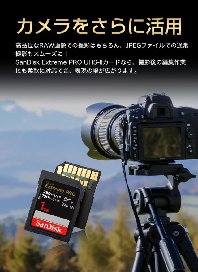 SDカード 1TB SanDisk Extreme PRO SDXCカード UHS-II U3 V60 6K 4K R:280MB/s W:150MB/s  SDSDXEP-1T00-GN4IN 海外パッケージ 宅配便配送 sdxc カード 1tb ポイント消化_2