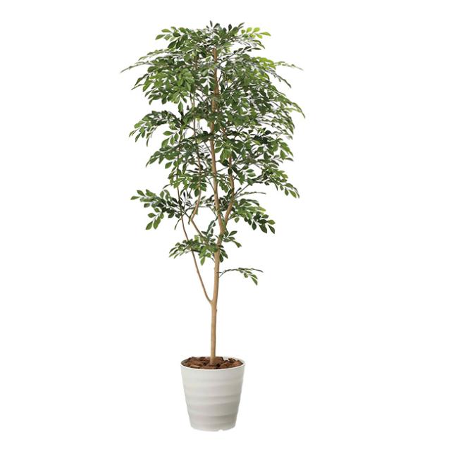 光の楽園 トリネコ 1.8m(造花 観葉植物 トリネコの木 大きい フェイクグリーン おしゃれ インテリア リビング オフィス 書斎 職場 事務所 玄関 室内 風水 設置 場所 フェイク 植物 大型 開業祝い 開店祝い 新築祝い)【R】 メーカー直送_1