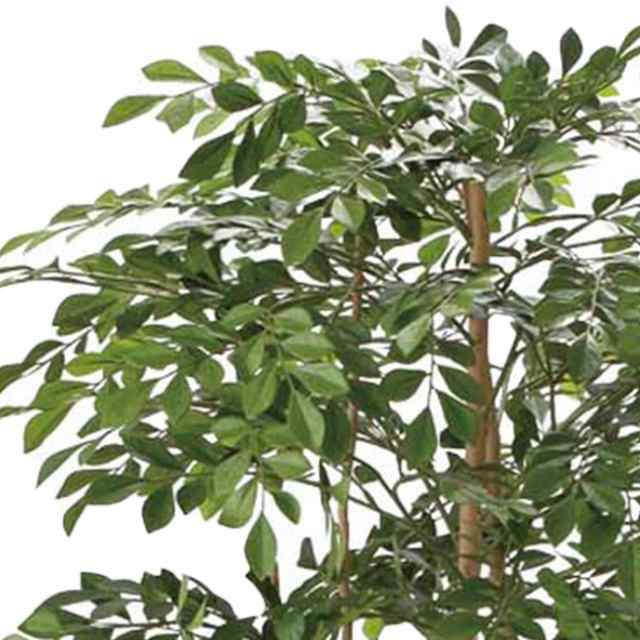 光の楽園 トリネコ 1.8m(造花 観葉植物 トリネコの木 大きい