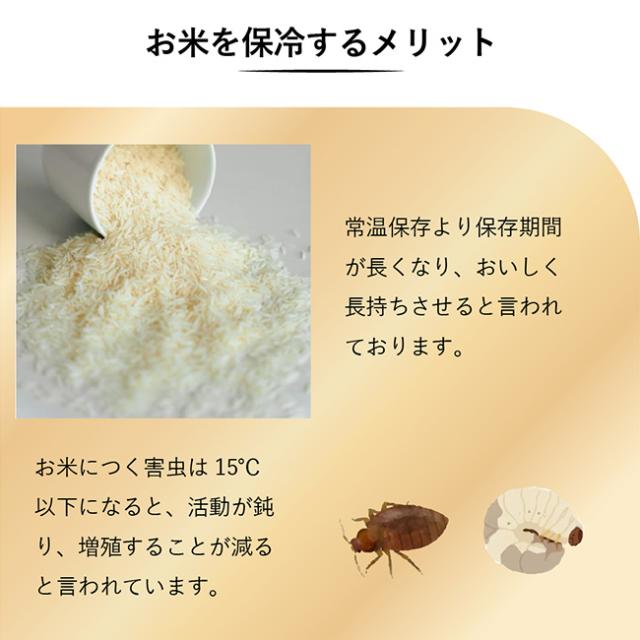 保冷米びつ ライスクーラー 31kg(米びつ 31キロ 保冷 機能 付き 米櫃