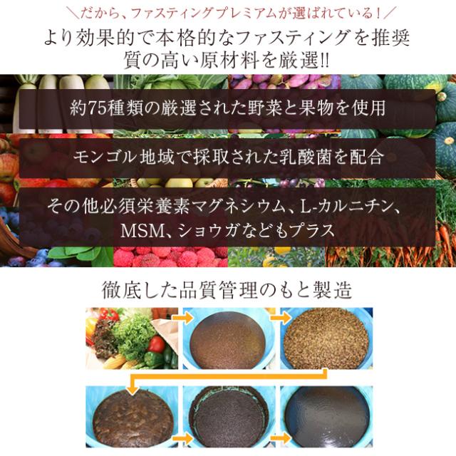 ザファスティング 酵素ドリンク 750ml 1本 未開封 ザファスティング 酵素ドリンク 750ml 1本 未開封 ザ