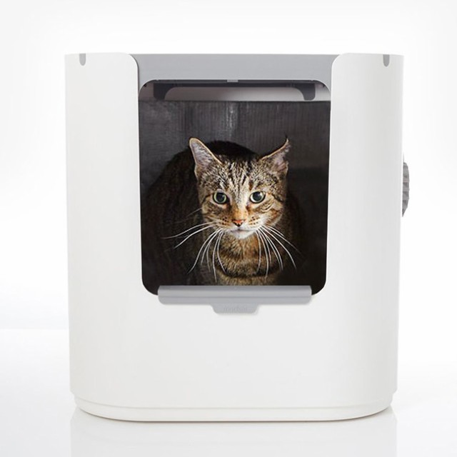 モデキャット Xl リターボックス Xl103 猫 トイレ 大型 おしゃれ 猫トイレ本体 家具 におい対策 大きいサイズ 猫トイレ の通販はau Pay マーケット キレイスポット