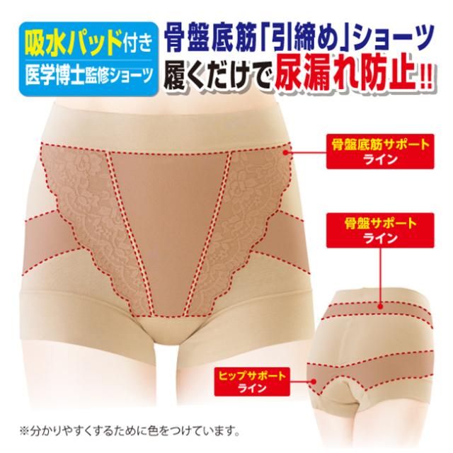 モレピタ！骨盤底筋ショーツ《3枚セット》(尿漏れ ショーツ 骨盤底筋 引き締め サポート インナー レディース 女性用 下着 骨盤 骨盤ショーツ レース ベージュ 履きやすい 楽 尿漏れパンツ 尿漏れショーツ 軽失禁 吸水 洗い替え)